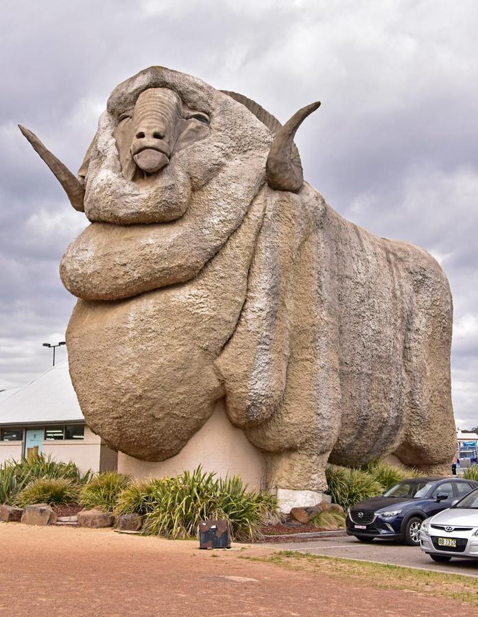 Goulburn Motor Inn 외부 사진